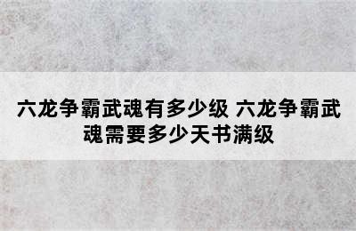 六龙争霸武魂有多少级 六龙争霸武魂需要多少天书满级